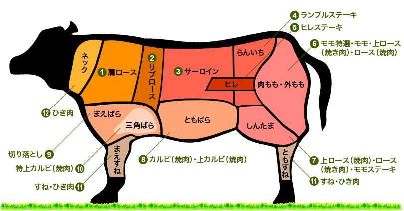 牛肉の部位