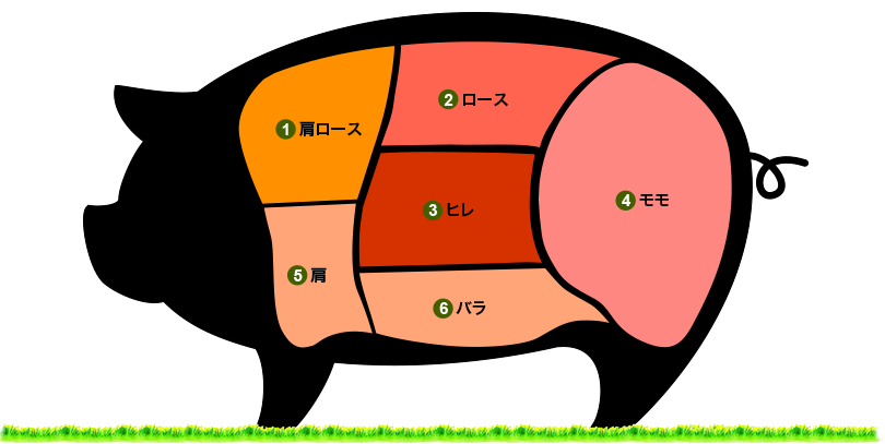 豚肉の部位