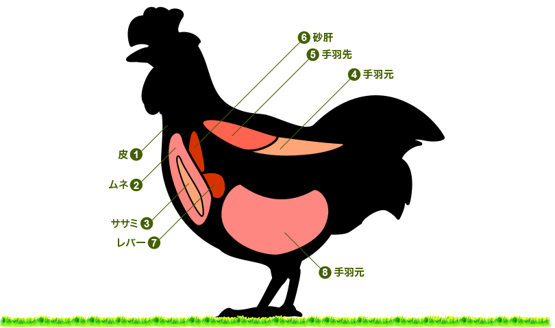 鶏肉の部位